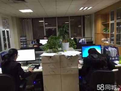 山東金證信息咨詢服務 專業信息咨詢的可靠伙伴